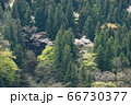 新緑の奥多摩 66730377