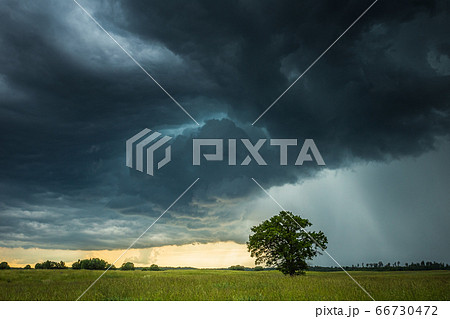 Supercell storm clouds with intense tropic rain Supercell storm clouds with intense tropic rain 66730472