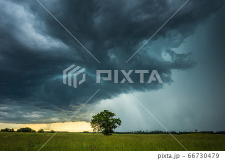 Supercell storm clouds with intense tropic rain 66730479