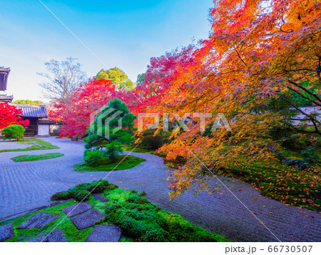 京都南禅寺 天授庵の紅葉 66730507