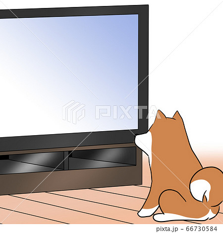 テレビを見るイヌのイラスト素材