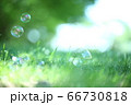 草原のシャボン玉 66730818