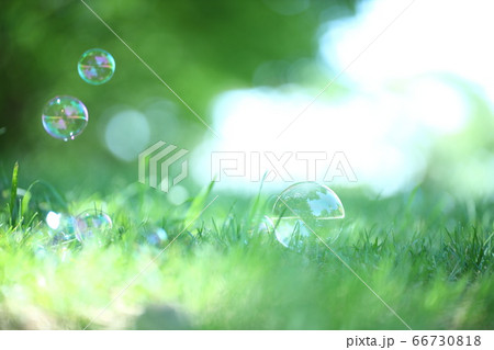 草原のシャボン玉 66730818