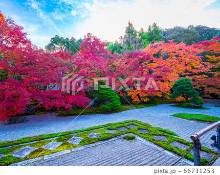 京都南禅寺 天授庵の紅葉 66731253