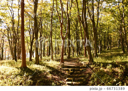 桃源台　湖畔ふれあい園地　 66731389