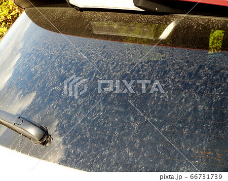 汚れたクルマの窓 66731739