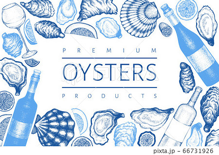 Oysters design template. Hand drawn vector Oysters design template. Hand drawn vector 66731926