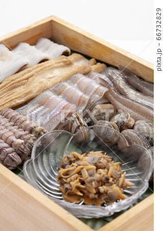 江戸前の海鮮  66732829