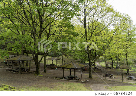 七沢森林公園 バーベキュー場 七沢森林公園 バーベキュー場 66734224