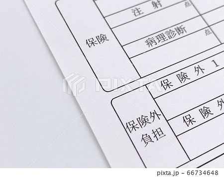 保険診療と保険外診療 保険診療と保険外診療 66734648