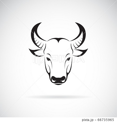 Vector of a bull head design on white background. 66735965