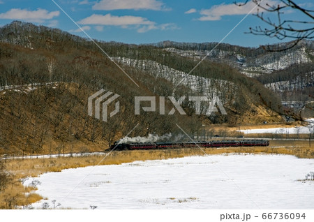 SL冬の湿原号 サルルントー付近を走る SL冬の湿原号 サルルントー付近を走る 66736094