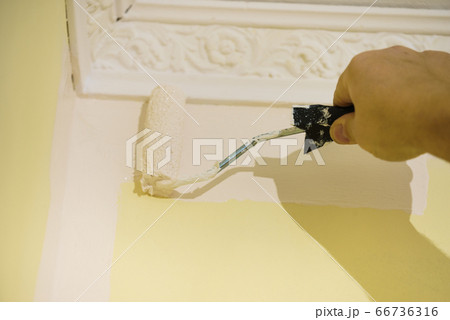 Person applying paint on wall 66736316