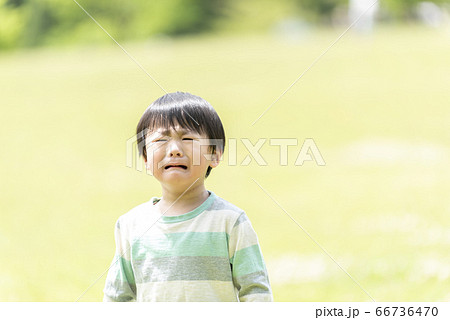 泣いている3歳の男の子 66736470