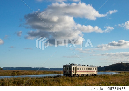 花咲線　湿原沿いに走る列車 66736973