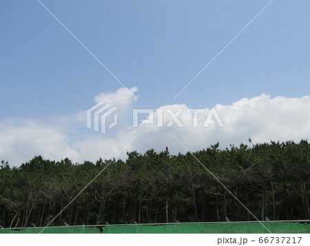 夏の白いr雲と青い空 66737217