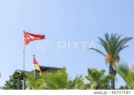 Waving red national turkish flag among green palm trees and plants on beach of luxury comfortable resort hotel on bright war sunny day. Turkey travel season begin concept 66737587