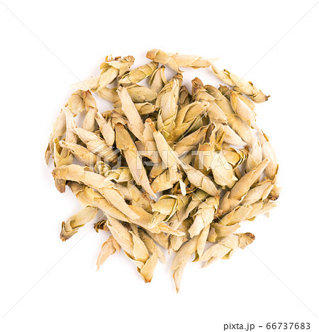 White tea isolated on a white background. Buds 66737683