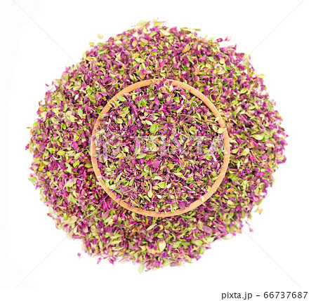 Dried thyme flowers, isolated on white background. Dried thyme flowers, isolated on white background. 66737687