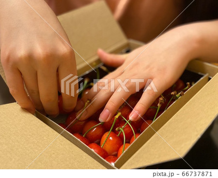 さくらんぼの箱詰め さくらんぼの箱詰め 66737871