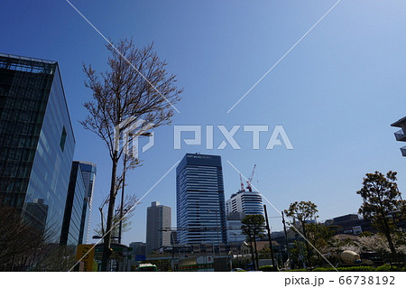 青空を切り取る豊洲のオフィスビルと、街の風景 青空を切り取る豊洲のオフィスビルと、街の風景 66738192