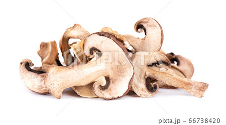 Dried sliced mushrooms isolated on white Dried sliced mushrooms isolated on white 66738420