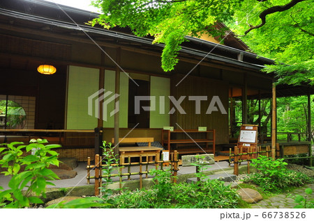 鎌倉市　一条恵観山荘のかふぇ楊梅亭（やまももてい）と新緑 66738526