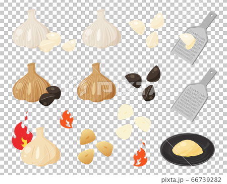 ニンニクのイラストセット_白_黒_おろし_スタミナ 66739282