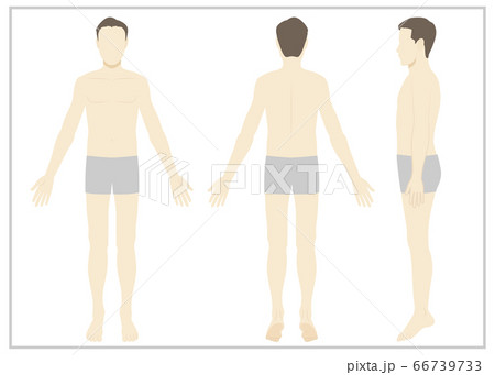 男性 全身 下着 顔なしのイラスト素材