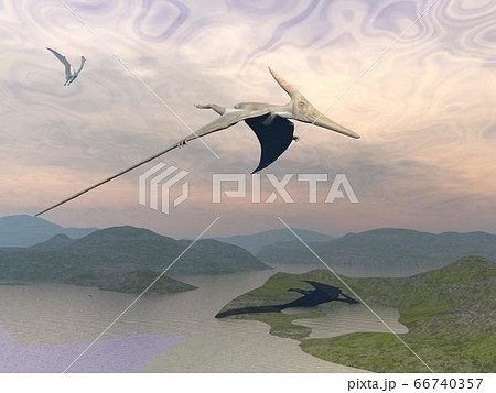 Pteranodons flying - 3D render Pteranodons flying - 3D render 66740357