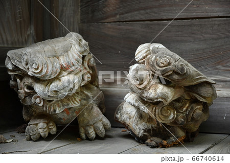 木製の狛犬 66740614