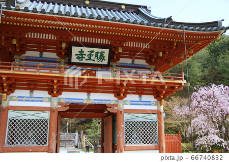 箕面 勝尾寺 箕面 勝尾寺 66740832