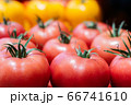 Close-up of red healthful tomatoes with yellow ones at the background. Organic vegetables lying on shelf in supermarket. Healthy food, dieting, seasonal product. 66741610