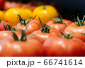 Bunch of fresh red and yellow tomatoes in grocery. Close-up of organic healthful food in supermarket. Assortment, healthful food, healthy eating. 66741614