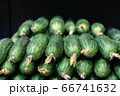 Bunch of fresh organic cucumbers on store shelf. Close-up of green vegetables for sale in retail place. Healthy eating, vegetarianism, vegan food, nutrition. 66741632