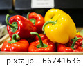 Wet bell pepper lying under light in grocery. Close-up of red and yellow organic vegetables in supermarket. Healthy food, nutrition, vegeterianism, assortment. 66741636