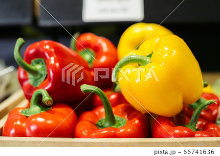Wet bell pepper lying under light in grocery. Close-up of red and yellow organic vegetables in supermarket. Healthy food, nutrition, vegeterianism, assortment. 66741636