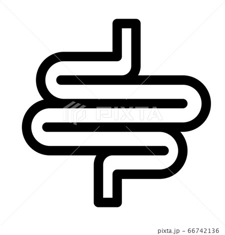 Intestines organ line icon. Intestine symbol or sign. 66742136