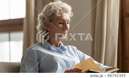 Serious woman sitting on couch focused at reading interesting book 66742305
