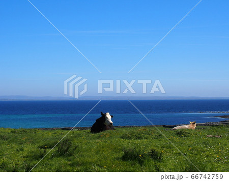 アラン諸島の景色 アラン諸島の景色 66742759