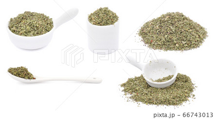 Oregano herb Oregano herb 66743013