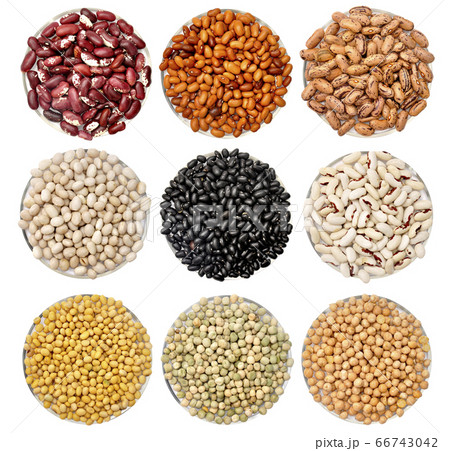 Colored beans. Variations and mix food 66743042