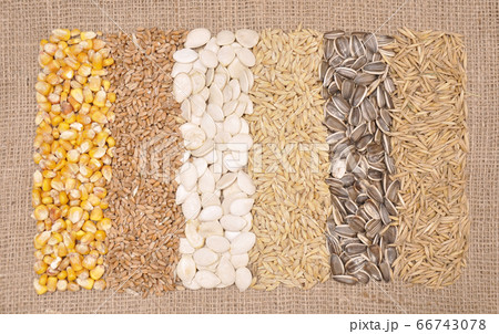 Basic cereals mix on cloth sack textile 66743078