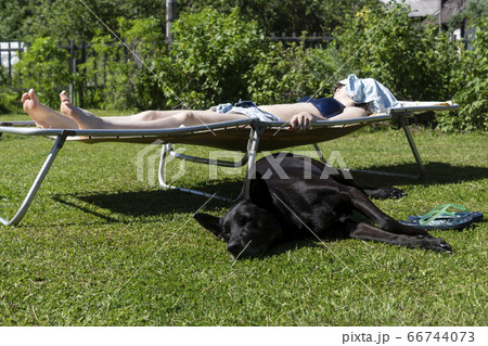 Girl on hot summer day sunbathes on a lawn on cot and next lies black shepherd 66744073