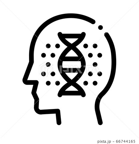 human dna molecule icon vector outline illustration 66744165