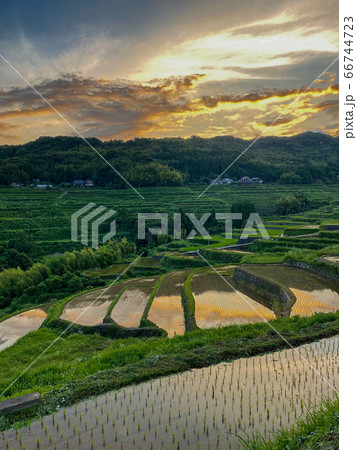 別府内成の棚田 66744723