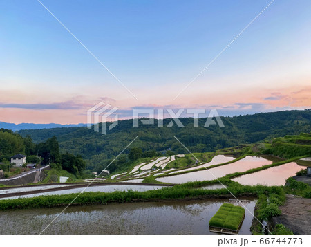 別府内成の棚田 66744773