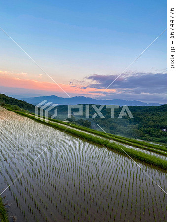 別府内成の棚田 別府内成の棚田 66744776