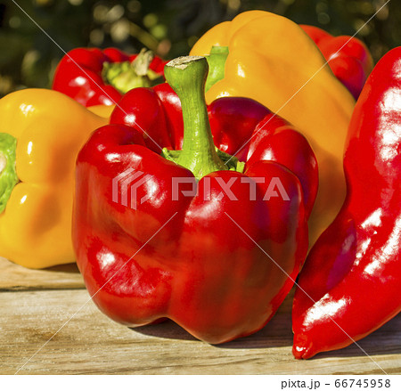Red organic pepper Red organic pepper 66745958
