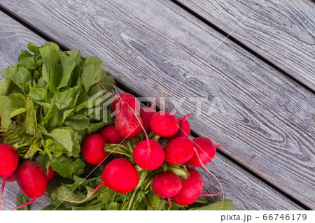 Root radishes with tops on wood. 66746179